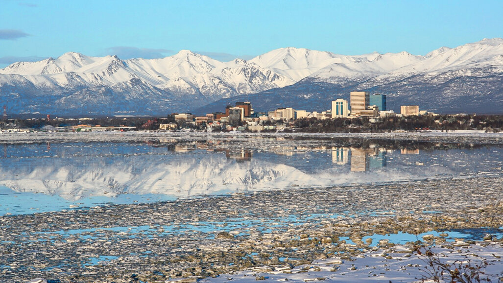 Alaska State Society of Orthodontists Meeting 2020