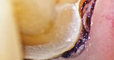 AMED goes virtual for 10th anniversary