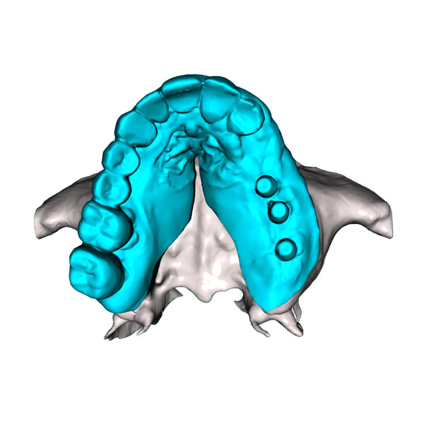 Fig. 9b