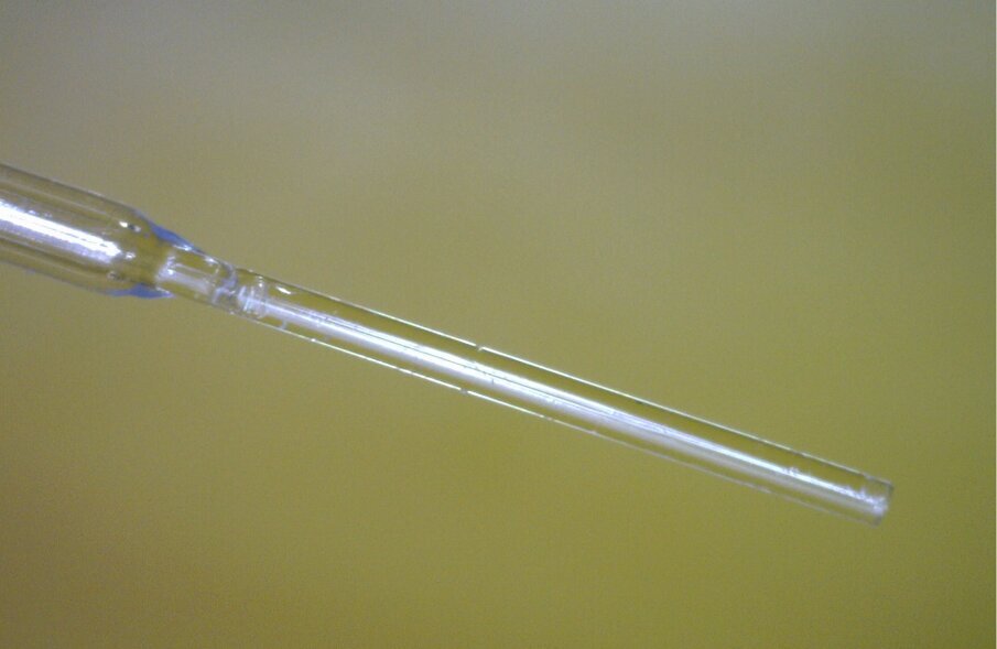 Fig. 1 - Per questo studio sono stati utilizzati  tips standardizzati con fibra di diametro di 200  e 300 μ montati su un laser avente λ 980 nm.