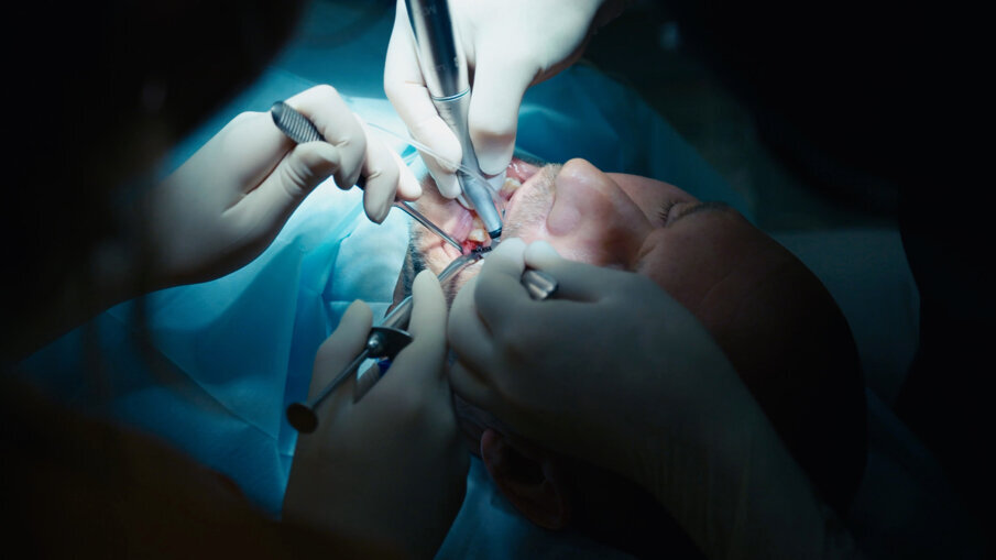 Un seul implant a été placé dans la mandibule (Photo Thomas Schröck)