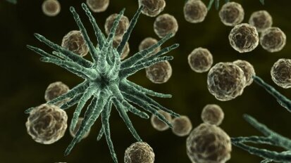 Bacterie veroorzaakt slechte mondgezondheid én reuma