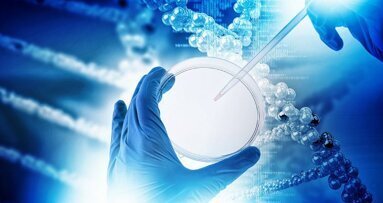 Pesquisadores identificam os genes responsáveis por lábio leporino e fenda palatina