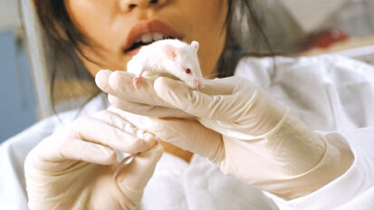 Un grand pas dans le remplacement par ingénierie d’un organe dentaire fonctionnel