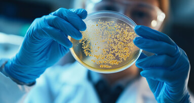 Mikrobiom-Forschung: Speicheltypen als möglicher Risikoindikator