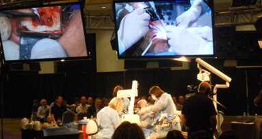 AAE aims to ‘bridge the gap’