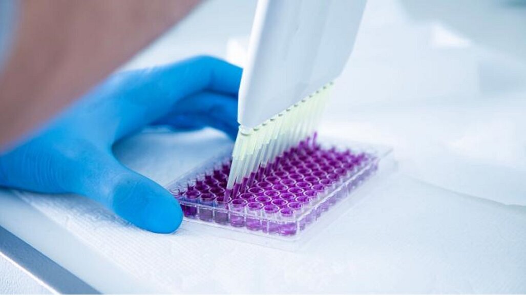 Skąd komórki znają swoją tożsamość w organizmie?