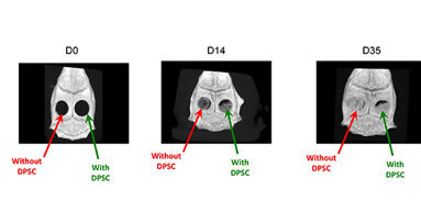 La fondation des «Gueules Cassées » organise une journée scientifique, Sourire quand même