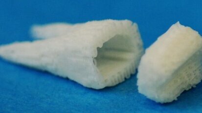 Columbia University announces break-through in tooth regeneration Columbia University announces break-through in tooth regeneration