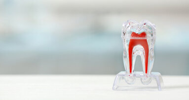 Researchers discover method to control tooth root development