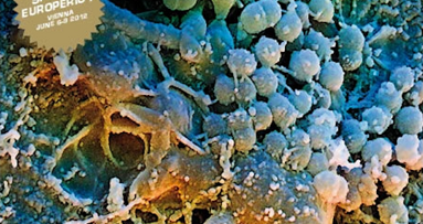 Los estudios clínicos avalan la idoneidad del Airflow Perio