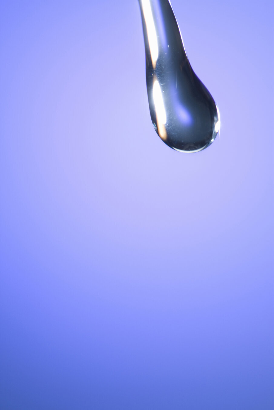 Fig. 1 (Payless Images/Shutterstock).