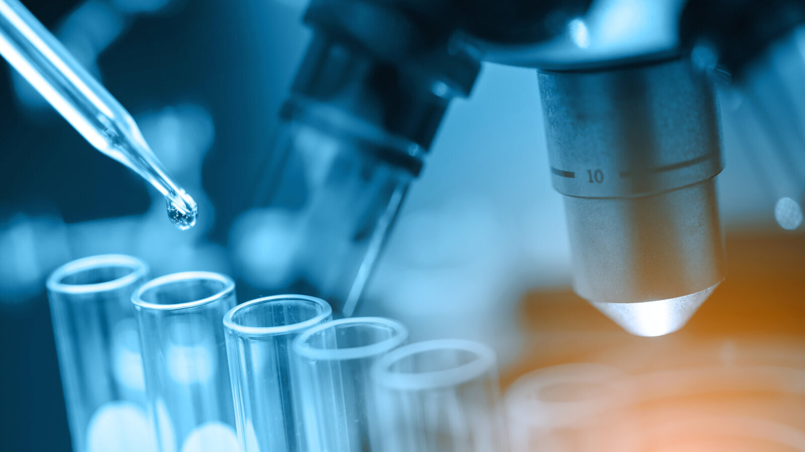 IFRO : Appel à projets