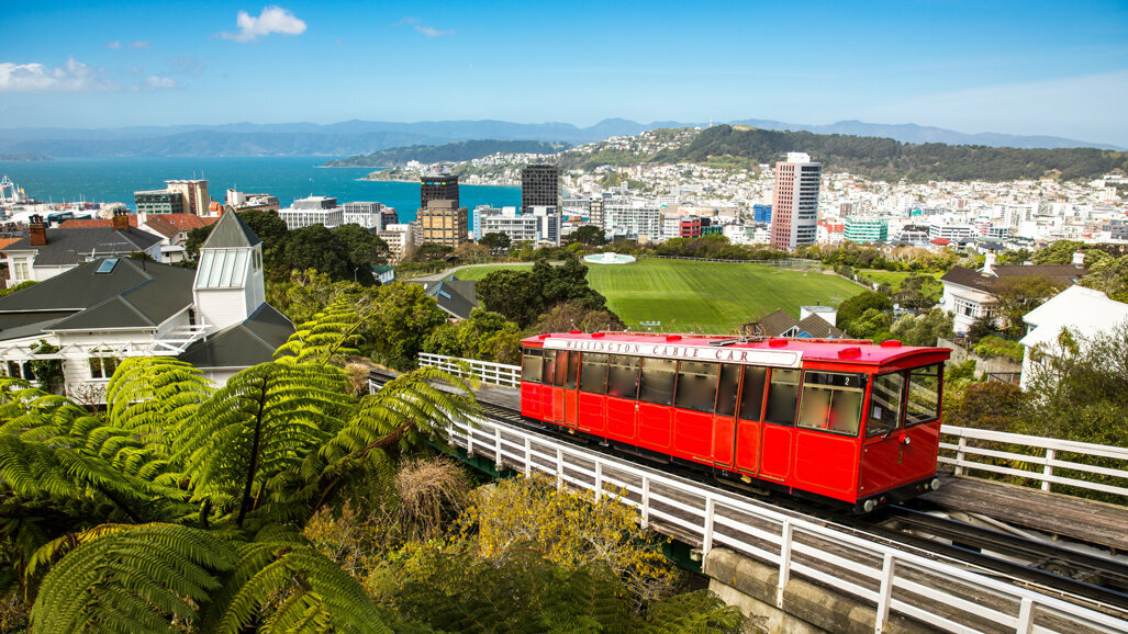 NZ Dental Congress 2019