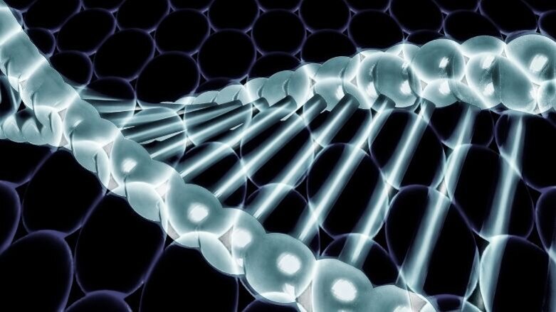 Human genome editing for public health - WHO recommendations