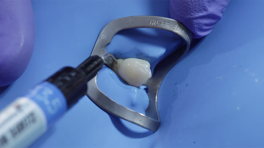 Create natural gloss instantly with CLEARFIL MAJESTY ES Flow