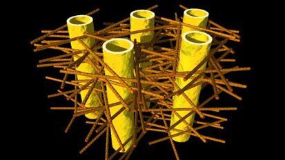 Здрави зъби: учени разкриват вътрешното устройство на дентина