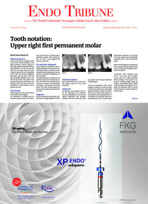 Endo Tribune Middle East & Africa No. 1, 2017