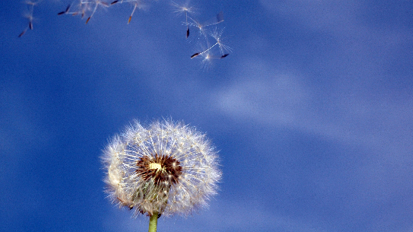 Dentisti: fondamentali per la rilevazione dei sintomi della respirazione con la bocca