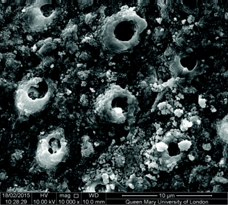 Fig. 9: Tubules occluded after brushing with BioMin F (research at Queen Mary University of London).