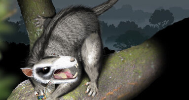 Biologists find ‘evolutionary bite’ in prehistoric mammals