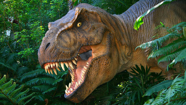 Versteinerter Zahnschmelz als Thermometer