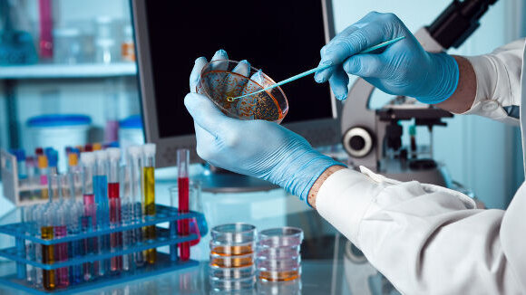 Une nouvelle étude permet de mieux comprendre le microbiome oral