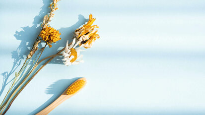 FDI World Dental Federation releases consensus statement on sustainable oral healthcare