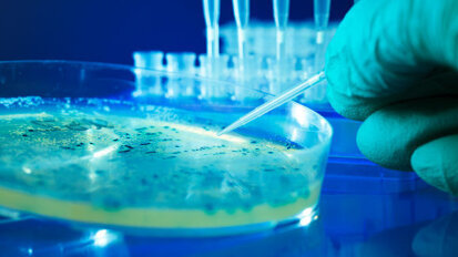 Les dentistes répondront aux préoccupations mondiales sur la résistance aux antibiotiques pendant l'IDEM de Singapour