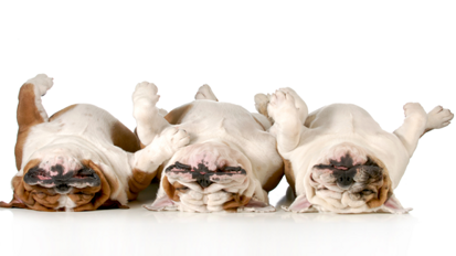 Ohne Zähneputzen ins Bett