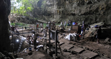 Entretien avec le paléothropologue Clément Zanolli sur la découverte d'une nouvelle espèce humaine