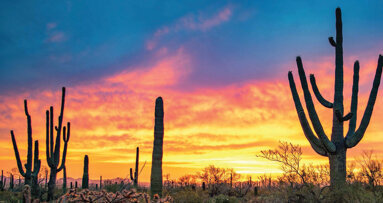 ‘Be in the Know’ at AO 2023