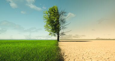 Oral health under threat from climate change, says new study