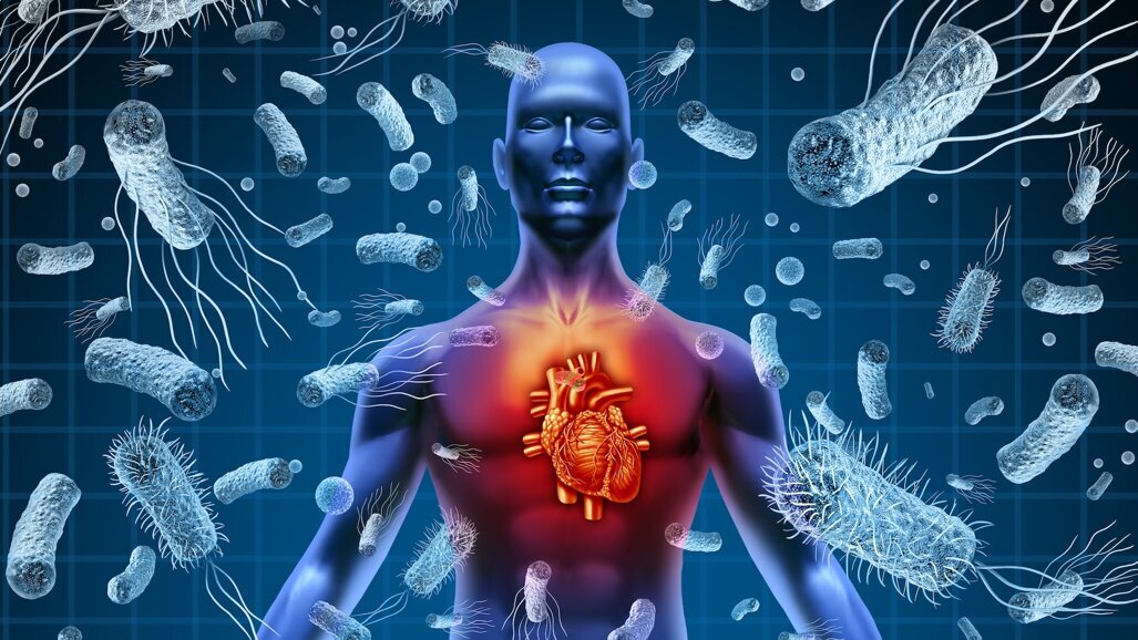 Nouvelles recommandations HAS : l’ADF accompagne les chirurgiens-dentistes pour les patients à risque d'endocardite