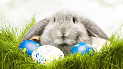 Честито Възкресение Христово! Весели Великденски празници!