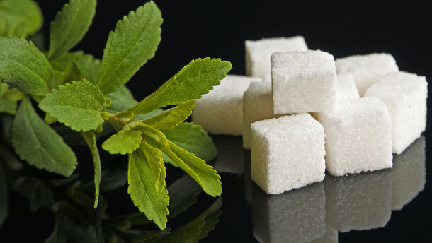Stevia könnte als Nahrungsmittel zugelassen werden