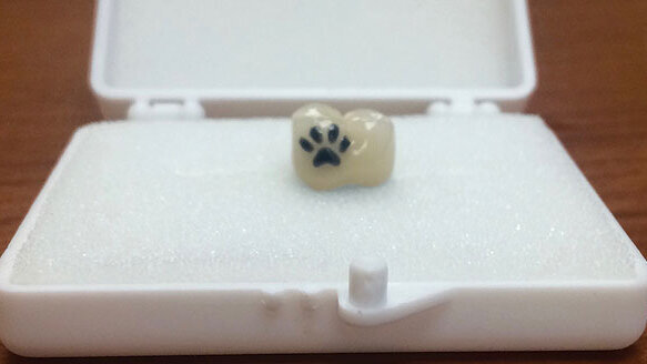 PAW’s ‘tatooth’: Buccal aspect adventure connects hygienist with lab tech