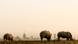 MedHealth Kenya 2018 - 11th International Trade Exhibition