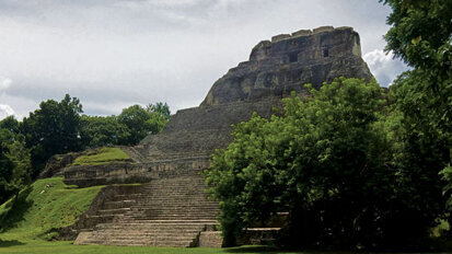 Seeing teeth everywhere (while trying not to) Seeing teeth everywhere (while trying not to)