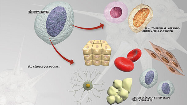 Cellule staminali in odontoiatria implantare