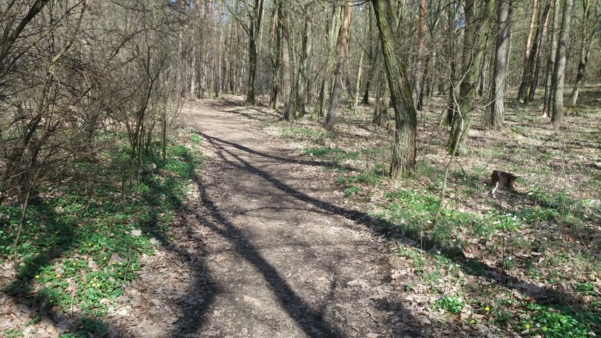 Stomatologický běh 2018