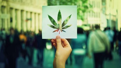 Legalisierung von Cannabis wird in der Schweiz wahrscheinlicher Legalisierung von Cannabis wird in der Schweiz wahrscheinlicher