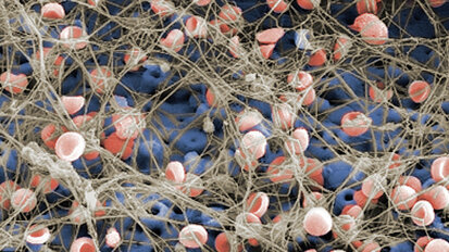 TiUnite:  in armonia con Madre Natura