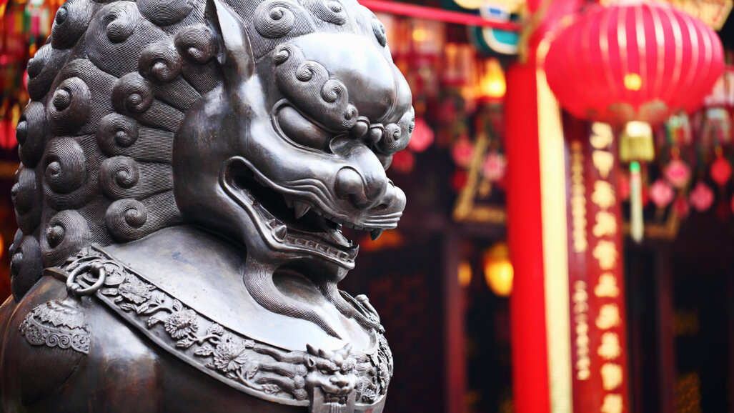 中国彰显其全球牙科领域影响力