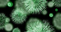 Tα προϊόντα περιοδοντικών βακτηρίων μπορούν να προκαλέσουν λανθάνουσα λοίμωξη HIV