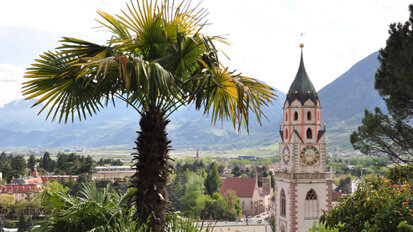 18. Frühjahrs-Seminar der Tiroler Zahnärzte