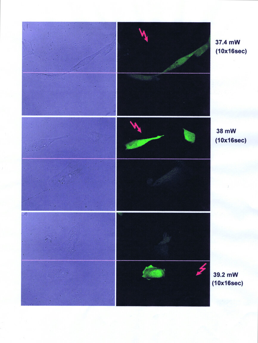 Figs. 3a–f: Verification of the
laser-induced formation of ROS.