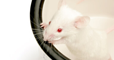 New research could lead to major advances in regenerative dentistry