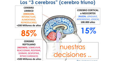 El fantástico cerebro triuno