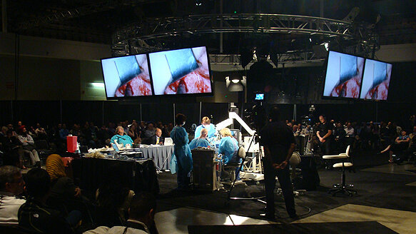 AAE holds its annual session in Boston